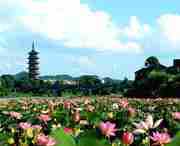 石城