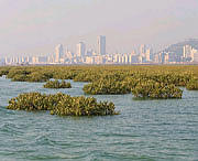 防城港